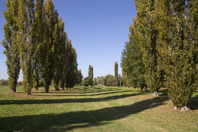 Golf Club Valdichiana - Book online your Golf Package or Green Fee without commission from the Golf Clubs or Resorts in Tuscany